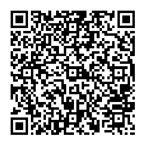 这个小美人的火气真的是好大啊为什么要和自己打这么大的火自己子不过就是在这里说了几句话而已啊二维码生成