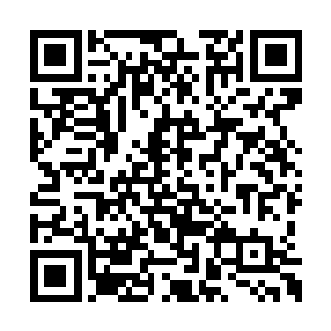 这个就是在上次坐飞行器的时候自己邻座的家伙二维码生成