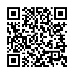 这个就是整个卡所称所有的店铺名单信誉表格二维码生成