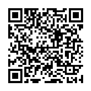 这个局面需要外交口和其他好多部门联动来擦屁股二维码生成