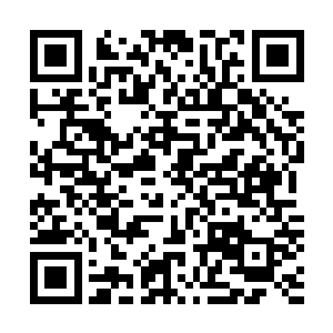 这个层次的怪物玩家的任何手段都不会对他们造成任何伤害二维码生成