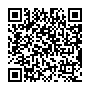 这个巨兽可是极少数能跟霸王龙相抗衡的陆上霸主之一二维码生成