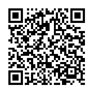 这个巨大的透明罩子不会是那个巨大水滴形事物变化的吧二维码生成