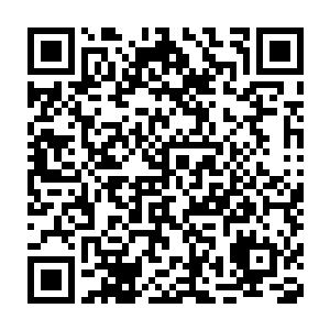 这个平素寂静的小山村因为龙小宝说媒相亲的事而被刺激得兴奋了起来二维码生成