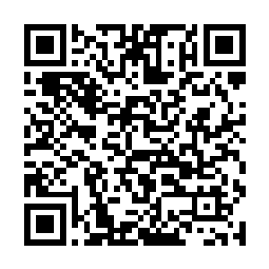 这个年代恐怕要追溯它被苍等人封禁在初天大禁之前二维码生成