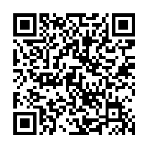这个年虽然没能回家过但在这里做了一件这么有意义的事情二维码生成