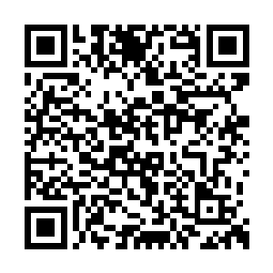 这个年轻人跟秦方的大战正在如火如荼的进行中二维码生成