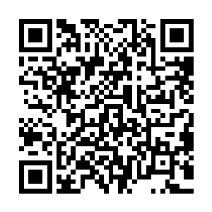 这个幸运的家伙离开文图拉之后只隔了一天就给自己打来电话二维码生成