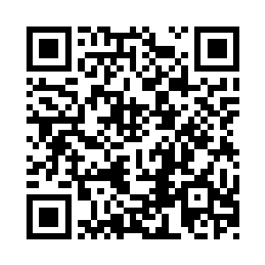 这个建木根茎本身就已经属于先天仙宝了二维码生成