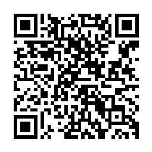 这个弟子会对仙云宗造成什么样的影响其实与他而言都并无关系二维码生成