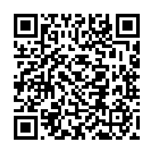 这个张胖子究竟会以什么借口吃了他的一千七百块钱二维码生成