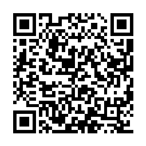 这个往日被他们所诟病甚至唾弃到想放逐的身躯二维码生成