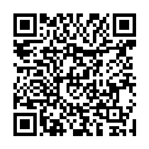 这个心理打击比血肉横飞的场面更能让水手们丧失斗志二维码生成