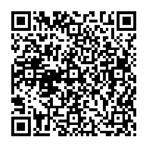 这个性格乖张的女人――总是能够说出让人目瞪口呆的话或者做出让人措手不及的事情二维码生成