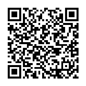 这个恐怕就是自己来到仙界见过的修为最恐怖的了二维码生成