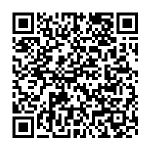 这个恐怖的阵法比起龙傲天在神界见过的任何一个阵法都要恐怖的多二维码生成