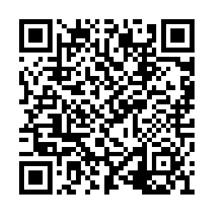 这个想法一旦出现在他脑子里就再也没有消除过二维码生成