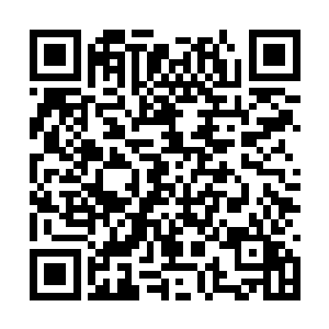 这个想法不仅仅是那些修为稍弱的弟子心中这样想二维码生成