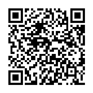 这个意志世界中难道真的有帝级强者的一缕残魂二维码生成