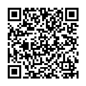 这个意志体在帝尊武意的笼罩下似乎得到了一些增强二维码生成