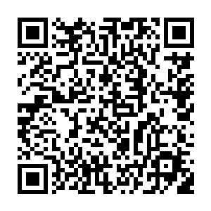这个懒鬼只怕是早就已经开吃了……只是雇佣兵首领忙着应付外面的敌人二维码生成