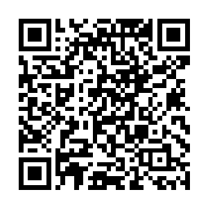 这个成熟端庄的女人浑身上下都仿佛充满了魔力一般二维码生成