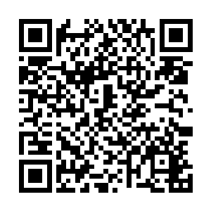这个我想大家也都看到了现在龙家已经站到了大陆的最顶峰二维码生成