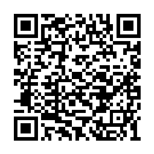 这个戴着面具的人可能是和这里的主人是一伙的二维码生成