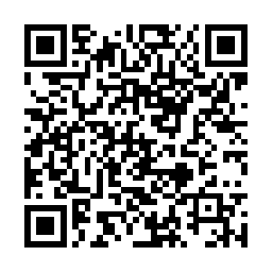 这个技能也是在玩家不断的使用和精进中得以变化二维码生成