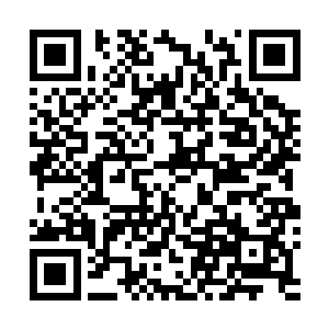 这个挂在太夏所有甲级城市城门口通缉榜上的红人的脑袋二维码生成