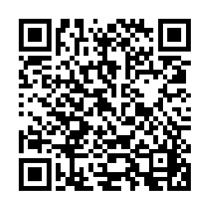 这个教会的牧师也是少数只需要银币就能购买到神术治疗的异类二维码生成