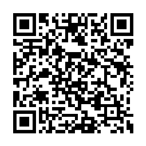 这个教训大海中的任何一种生物都再也不会忘记二维码生成