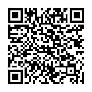这个数字相对被抽调到这里的一百五十万墨族大军而言二维码生成