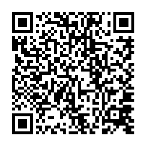 这个数字虽然跟华夏五亿多的智能手机用户持有量比起来挺微不足道的二维码生成