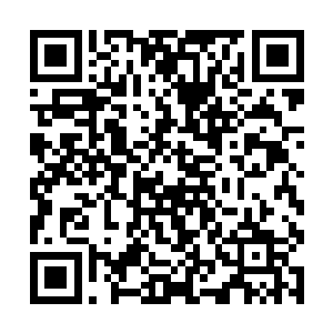 这个整天只知道上网打游戏的家伙目前已是抱丹高手二维码生成