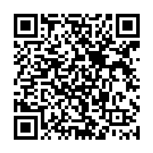 这个斑鬣狗的族群就在一个人类的手里彻底的灭亡了二维码生成