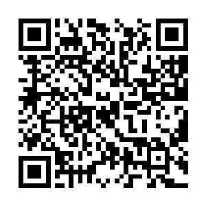 这个斗医模式和孙子轩之前和普特兄弟斗医差不多二维码生成