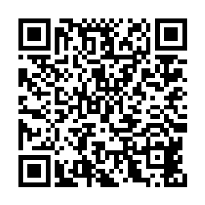 这个新阵法的运转能源便是一些品质上乘的灵晶二维码生成