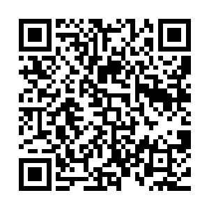 这个无角青年竟然已经成长到让他红角尼塔都无可奈何的地步二维码生成