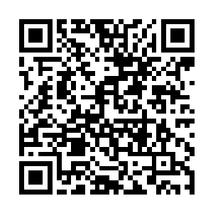 这个时候一直处于一滩烂泥一样的龙野倒是清醒点了二维码生成