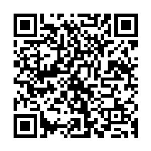这个时候一直留心客厅了动静的陈嘉岚和司嘉仪听说丁长生要走二维码生成