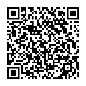 这个时候东部联盟弟子和上元盟弟子还都站在广场上被一个人尊期大修士呵斥二维码生成