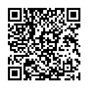 这个时候也是把家族当中的一些人员给召集到了一起二维码生成