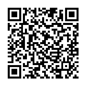 这个时候也是摘下来自己的墨镜看了看马建和宋乔乔二维码生成