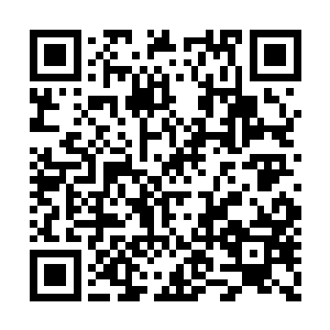 这个时候也有底气开口求云起舞一起带他们离开二维码生成