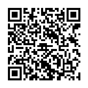 这个时候人们也纷纷开始注意上了帝寒身边这位女孩子二维码生成