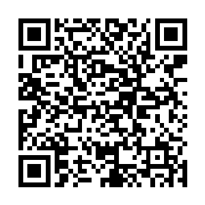 这个时候他们断然没有能力去唤醒处在自己世界的紫霞二维码生成