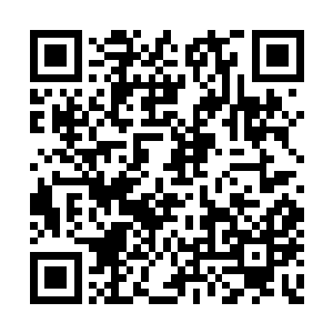 这个时候他再倒地扑救完全是身体本能的动作了二维码生成