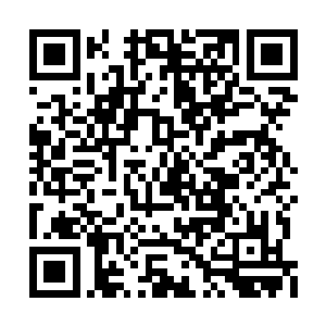 这个时候他可是无比怀念当初化身滚滚的小玄界二维码生成