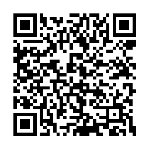 这个时候他就算陪杨开一块去也起不到什么作用二维码生成